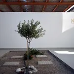 Vila Aros Luxury *